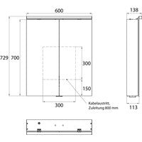 Lichtspiegelschrank, B:600mm / T:113mm trend4YOU 2.0, 2-trg,AP,LED,Unterl. Alu
