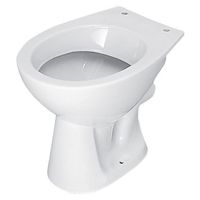 Geberit Paris floorstanding washdown WC, outlet: horizontal, white, 004011000 